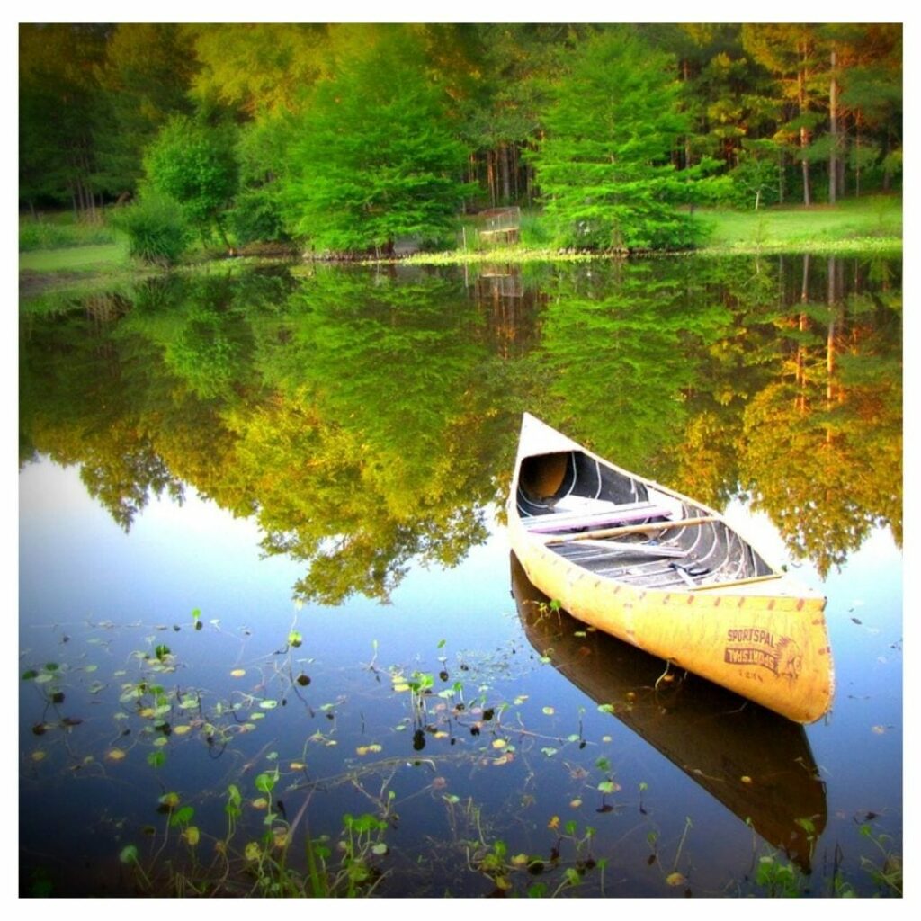 Paddla kanot i vildmarken