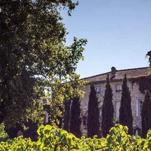 Bo på vingård i Frankrike