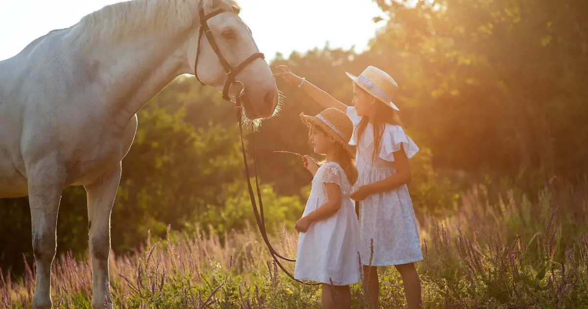 Presenter till barn som älskar hästar: Kreativa idéer för unga hästälskare