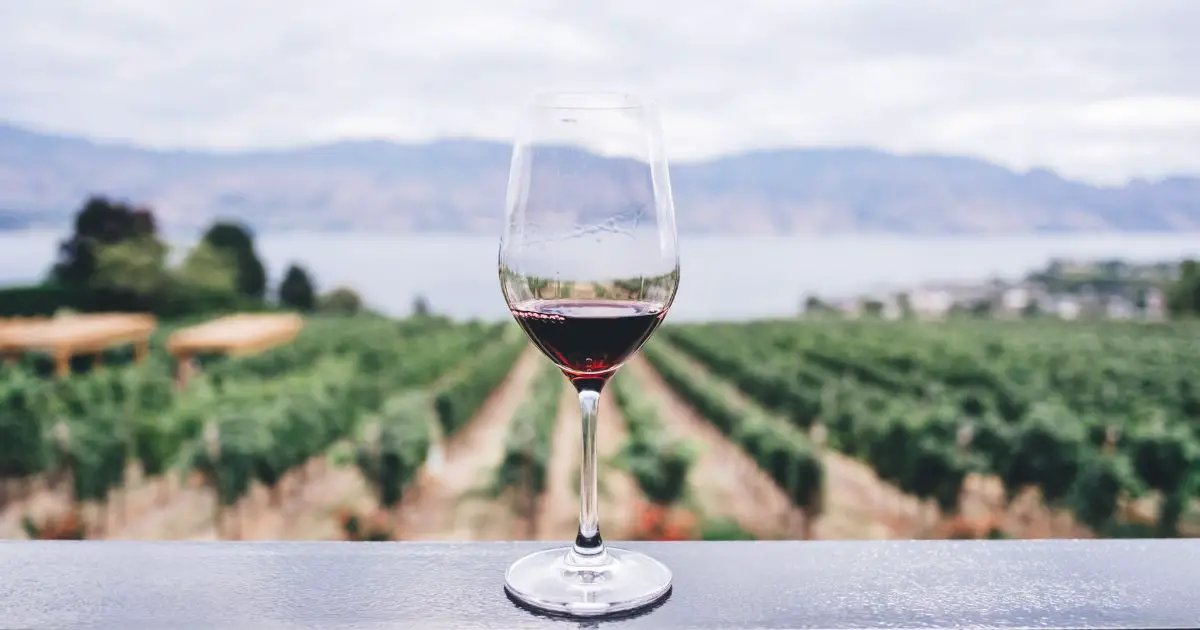 Vin Present: En Grundlig Guide till en Perfekt gåva till vinälskare
