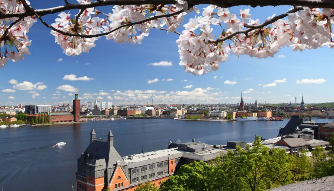 Bästa Upplevelser i Stockholm: Din Guide till Äventyr i Staden
